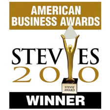The American Business Awards