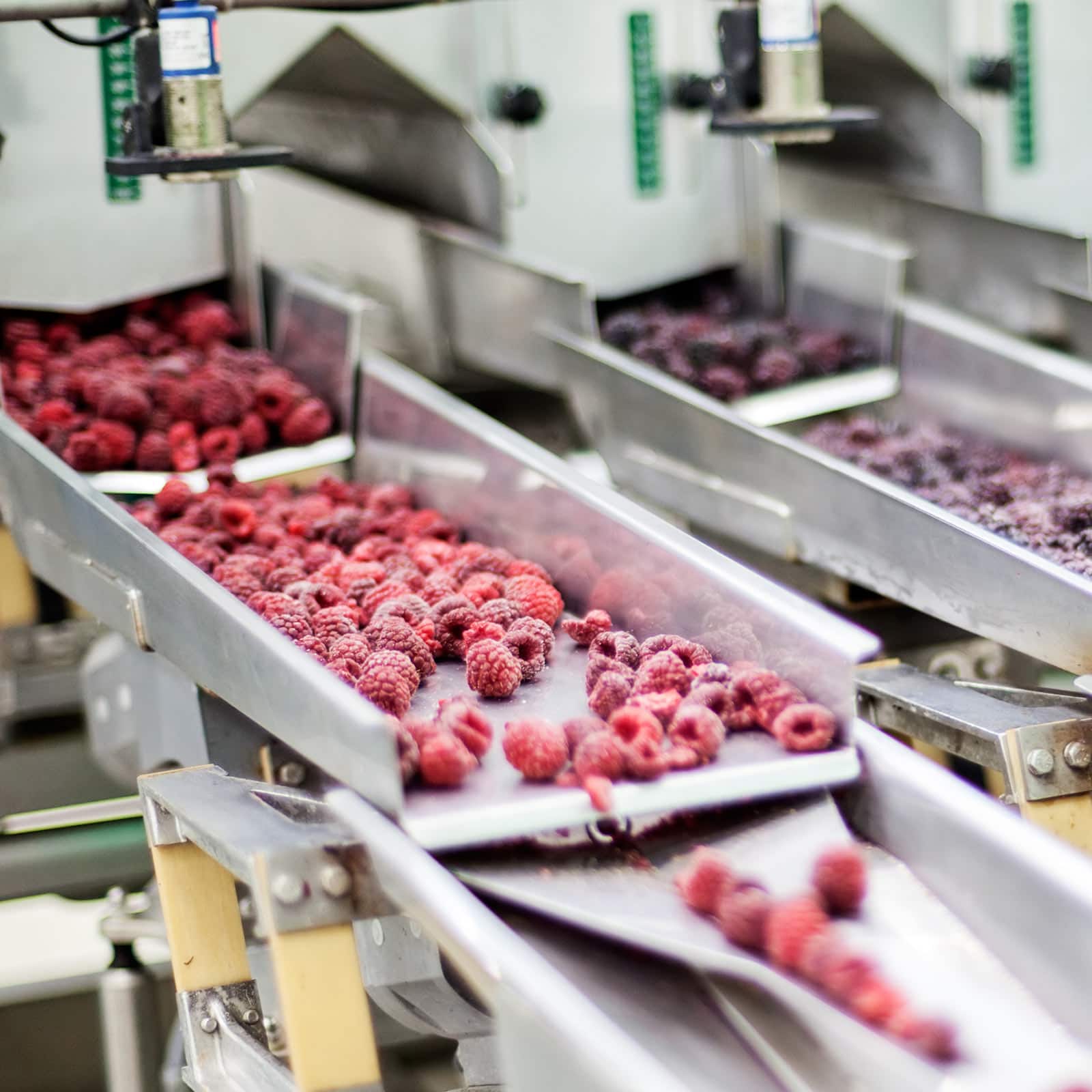 production of frozen fruit