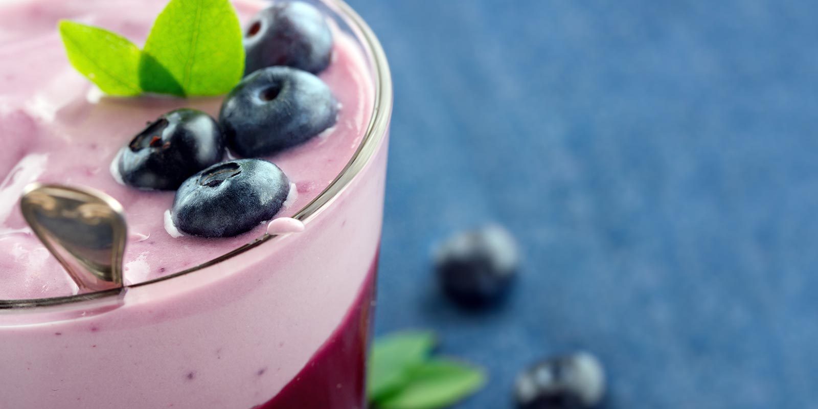 Fresh blueberries with yogurt