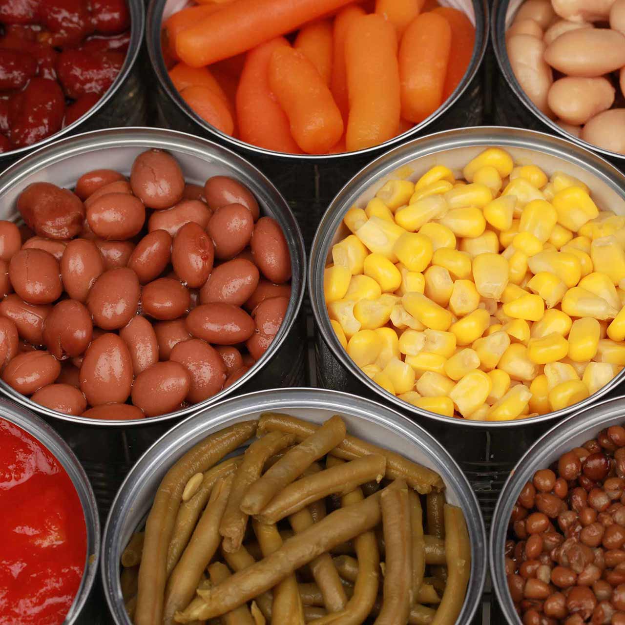Processed Canned Foods